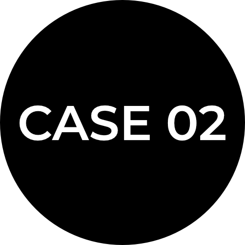 CASE 02