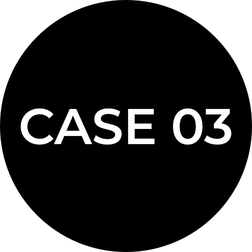 CASE 03