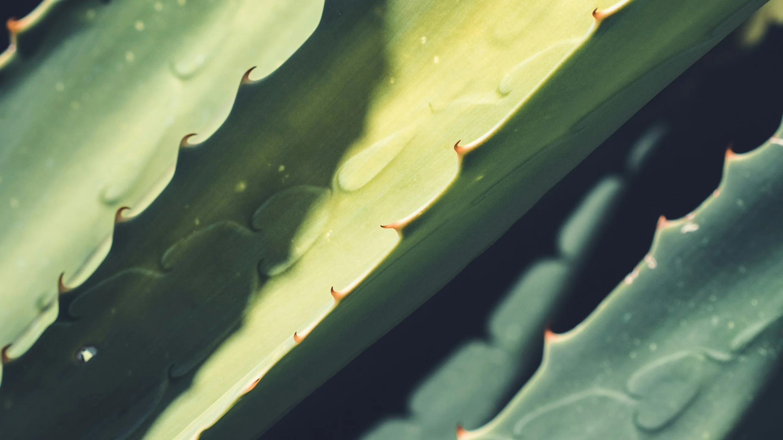 ホームページのデザインリニューアル